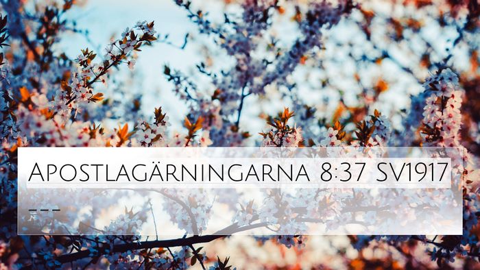 Apostlagärningarna 8:37 SV1917 4K Wallpaper -  - 4K Wallpaper Bible Verse