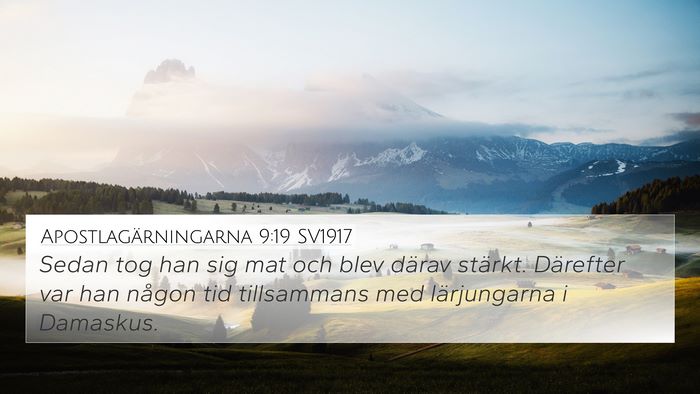 Apostlagärningarna 9:19 SV1917 Bible Verse Image