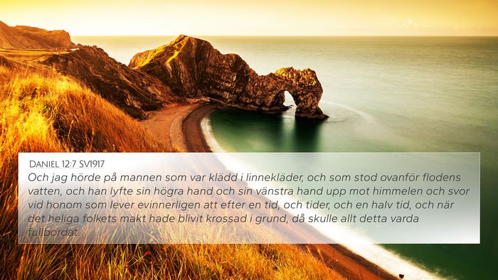Daniel 12:7 SV1917 Bible Verse Image