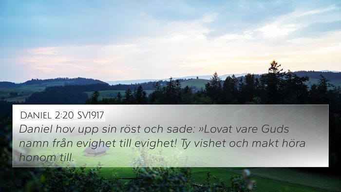 Daniel 2:20 SV1917 Bible Verse Image