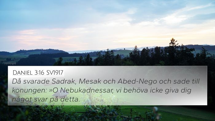 Daniel 3:16 SV1917 4K Wallpaper - Då svarade Sadrak, Mesak och Abed-Nego och sade - 4K Wallpaper Bible Verse