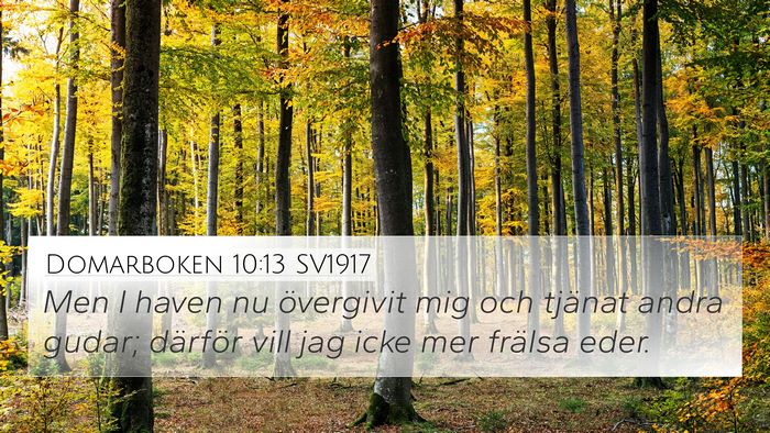 Domarboken 10:13 SV1917 Bible Verse Image