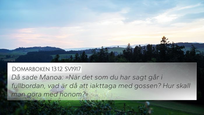 Domarboken 13:12 SV1917 4K Wallpaper - Då sade Manoa: »När det som du har sagt går i - 4K Wallpaper Bible Verse