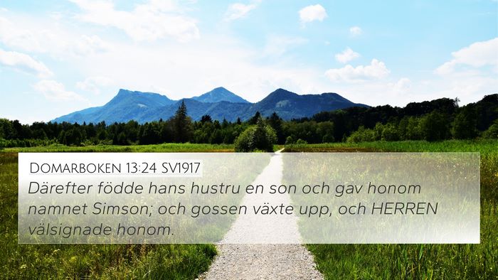 Domarboken 13:24 SV1917 Bible Verse Image