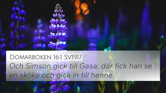 Domarboken 16:1 SV1917 Bible Verse Image