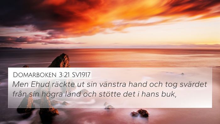 Domarboken 3:21 SV1917 Bible Verse Image