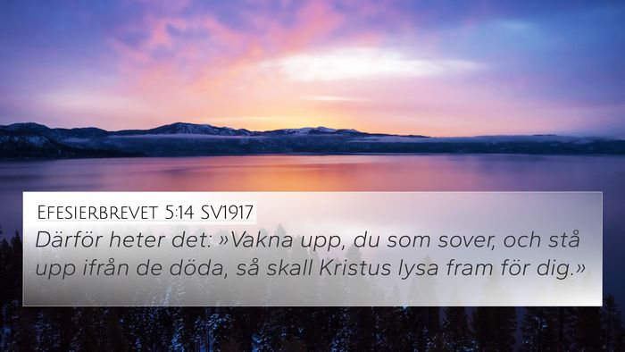 Efesierbrevet 5:14 SV1917 Bible Verse Image