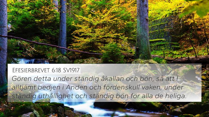 Efesierbrevet 6:18 SV1917 Bible Verse Image