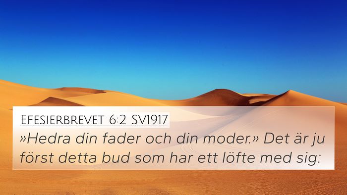 Efesierbrevet 6:2 SV1917 Bible Verse Image