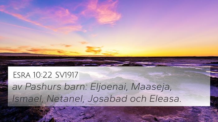 Esra 10:22 SV1917 Bible Verse Image