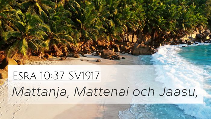 Esra 10:37 SV1917 4K Wallpaper - Mattanja, Mattenai och - 4K Wallpaper Bible Verse