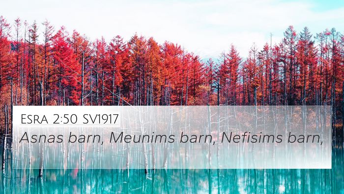 Esra 2:50 SV1917 Bible Verse Image