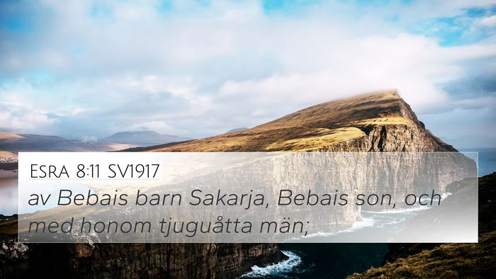 Esra 8:11 SV1917 Bible Verse Image