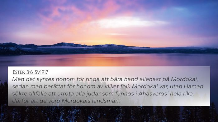 Ester 3:6 SV1917 Bible Verse Image