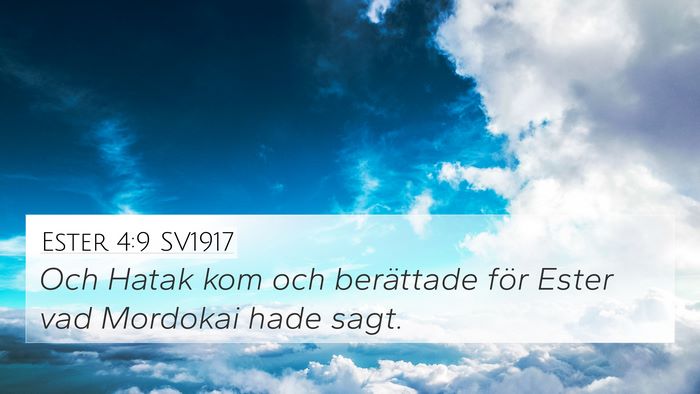 Ester 4:9 SV1917 Bible Verse Image