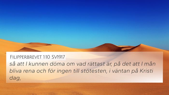 Filipperbrevet 1:10 SV1917 Bible Verse Image