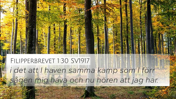 Filipperbrevet 1:30 SV1917 4K Wallpaper - i det att I haven samma kamp som I förr sågen - 4K Wallpaper Bible Verse