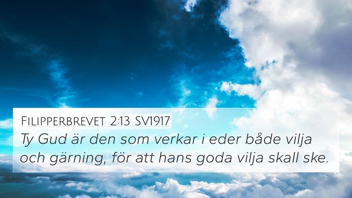 Filipperbrevet 2:13 SV1917 Bible Verse Image