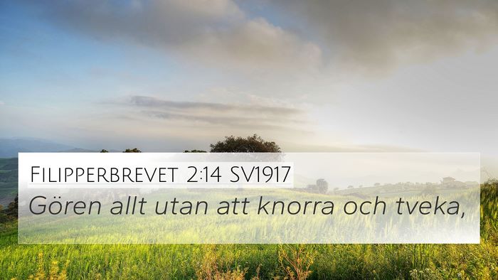 Filipperbrevet 2:14 SV1917 Bible Verse Image