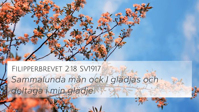 Filipperbrevet 2:18 SV1917 4K Wallpaper - Sammalunda mån ock I glädjas och deltaga i min - 4K Wallpaper Bible Verse