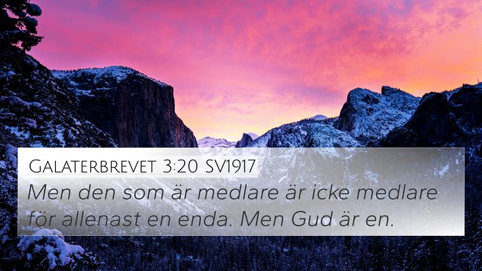 Galaterbrevet 3:20 SV1917 Bible Verse Image