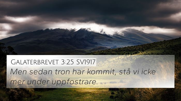 Galaterbrevet 3:25 SV1917 Bible Verse Image