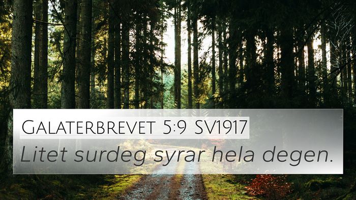 Galaterbrevet 5:9 SV1917 Bible Verse Image