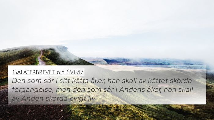 Galaterbrevet 6:8 SV1917 Bible Verse Image