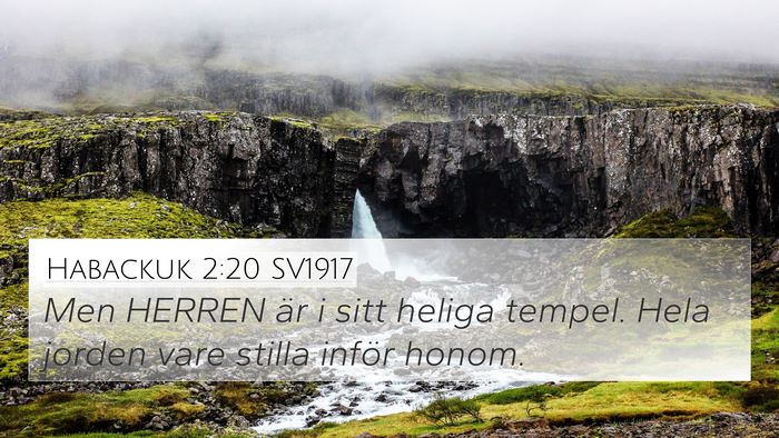 Habackuk 2:20 SV1917 Bible Verse Image