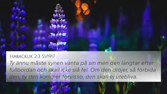 Habackuk 2:3 SV1917 Bible Verse Image