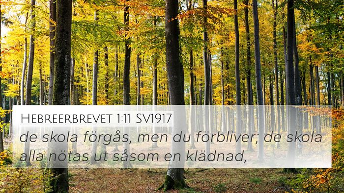 Hebreerbrevet 1:11 SV1917 Bible Verse Image