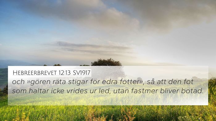 Hebreerbrevet 12:13 SV1917 Bible Verse Image