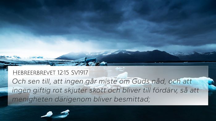 Hebreerbrevet 12:15 SV1917 Bible Verse Image