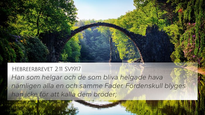 Hebreerbrevet 2:11 SV1917 Bible Verse Image