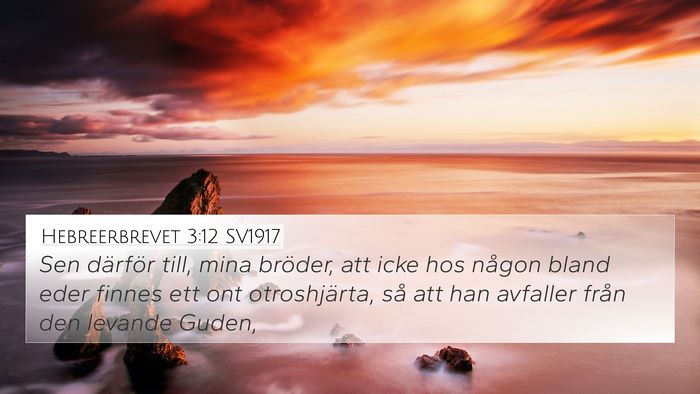 Hebreerbrevet 3:12 SV1917 Bible Verse Image
