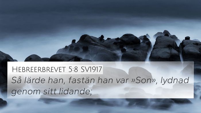 Hebreerbrevet 5:8 SV1917 Bible Verse Image