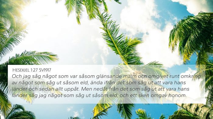 Hesekiel 1:27 SV1917 Bible Verse Image
