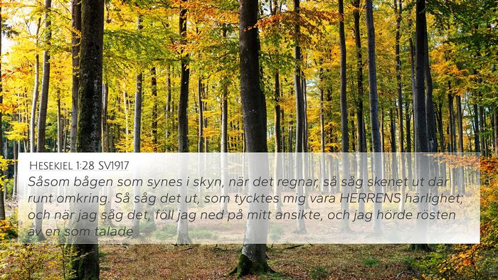 Hesekiel 1:28 SV1917 Bible Verse Image
