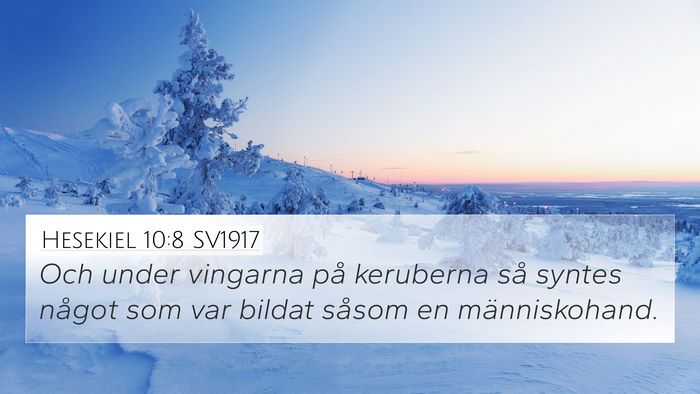 Hesekiel 10:8 SV1917 Bible Verse Image