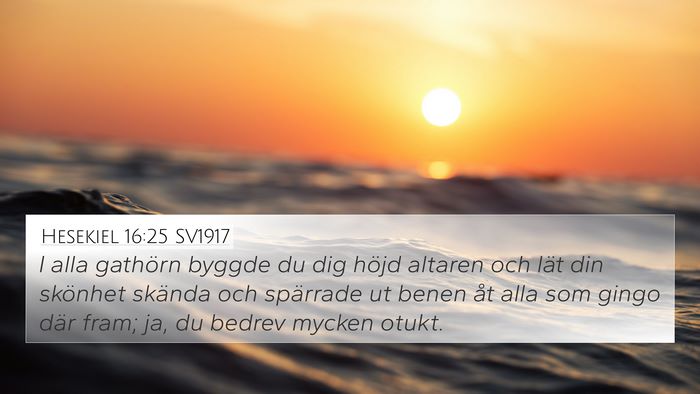 Hesekiel 16:25 SV1917 Bible Verse Image