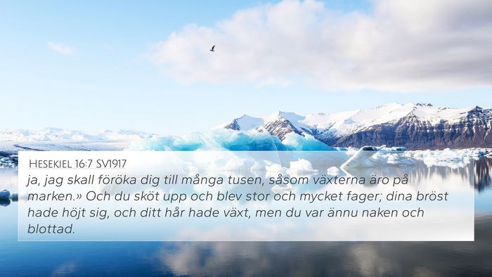 Hesekiel 16:7 SV1917 Bible Verse Image