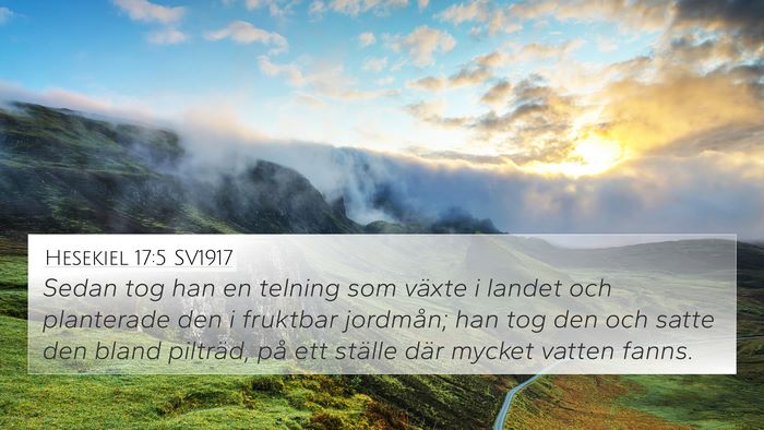 Hesekiel 17:5 SV1917 Bible Verse Image