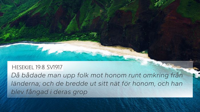 Hesekiel 19:8 SV1917 Bible Verse Image