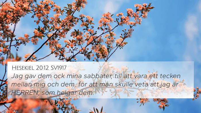 Hesekiel 20:12 SV1917 Bible Verse Image