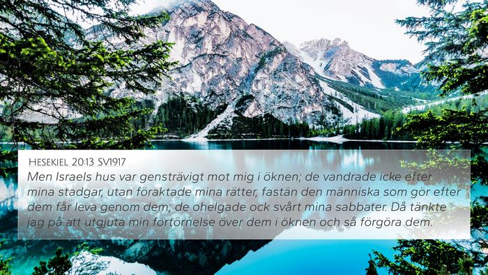 Hesekiel 20:13 SV1917 Bible Verse Image
