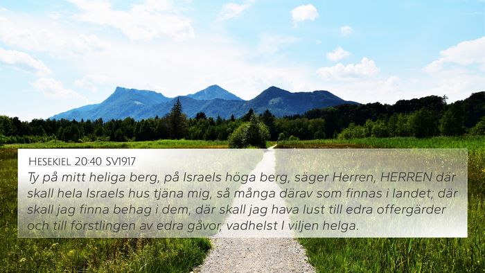 Hesekiel 20:40 SV1917 Bible Verse Image