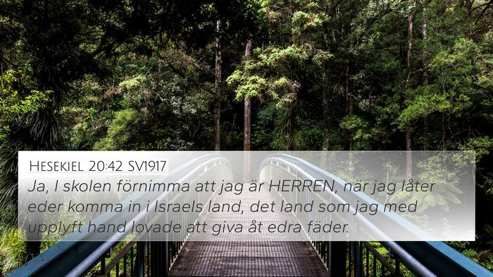 Hesekiel 20:42 SV1917 Bible Verse Image