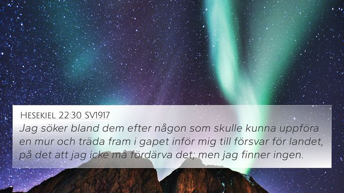 Hesekiel 22:30 SV1917 Bible Verse Image