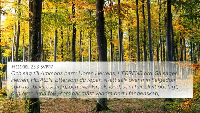 Hesekiel 25:3 SV1917 Bible Verse Image