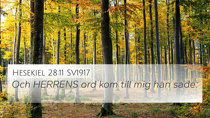 Hesekiel 28:11 SV1917 Bible Verse Image